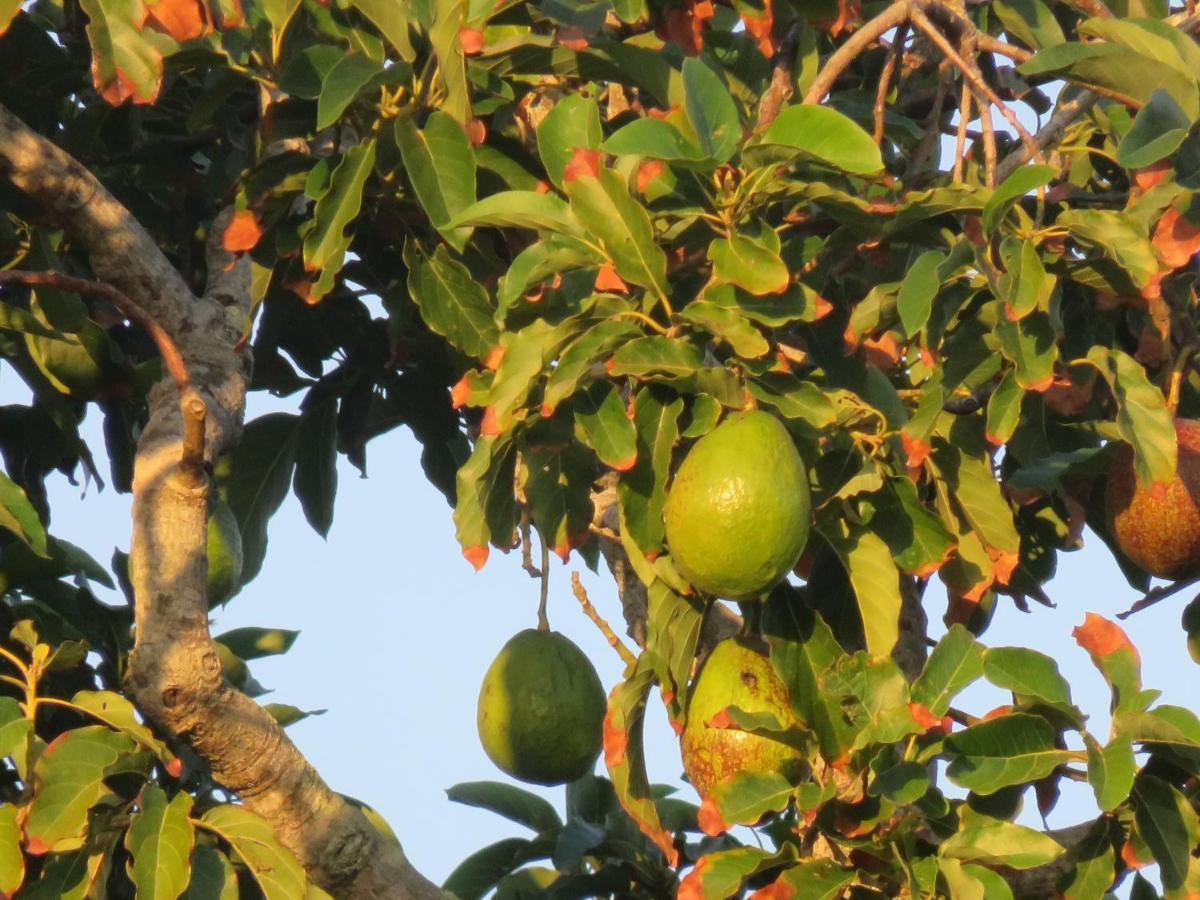 Pousada Biso Finoca Ibiraquera Imbituba  Esterno foto